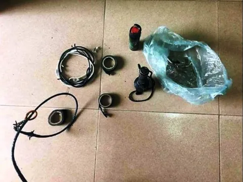 Nghệ An: Trộm chó manh động với thủ đoạn tinh vi