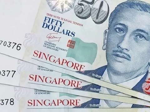Chính phủ Singapore chia hơn 500 triệu USD cho người dân
