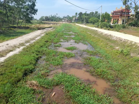 Phú Vang - Thừa Thiên Huế: Hàng trăm ha ruộng ‘khát’ nước, công trình thủy lợi chục tỷ đồng vẫn ì ạch thi công