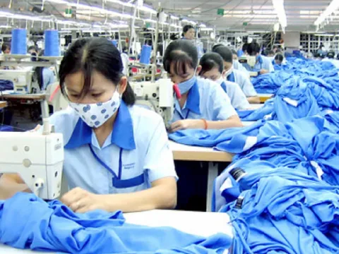 NLĐ không được giải quyết chế độ ốm đau trong trường hợp nào?