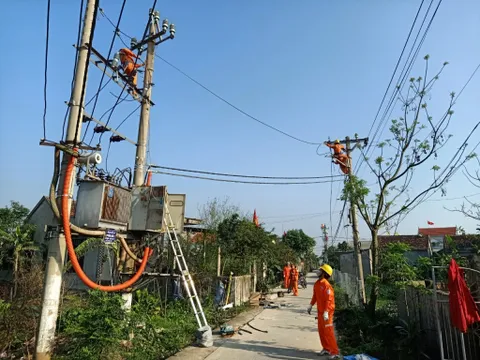 Công ty Điện lực Quảng Bình chi 45 tỷ đồng duy tu hệ thống lưới điện