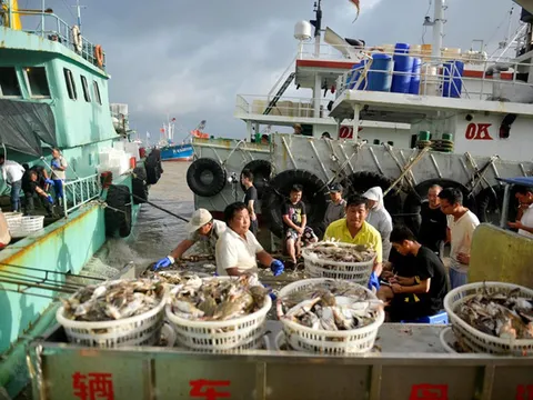 Siêu bão Lekima sắp đổ bộ, Trung Quốc ban hành 'báo động đỏ'