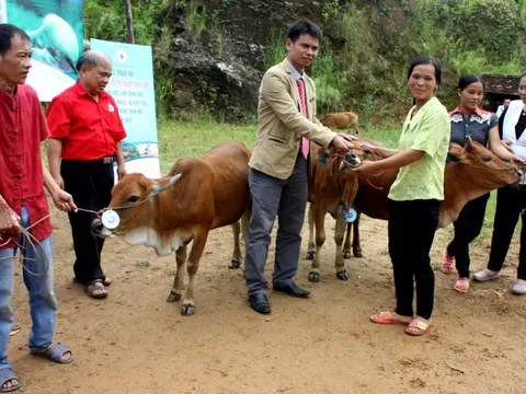 Kỷ niệm Ngày Chữ thập đỏ và Trăng lưỡi liềm đỏ quốc tế (8/5): “Bạn có biết: CTĐ - Vì mọi người, ở mọi nơi”