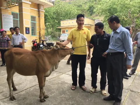 Trao 300 bò cái giống cho đồng bào nghèo tỉnh Ninh Thuận