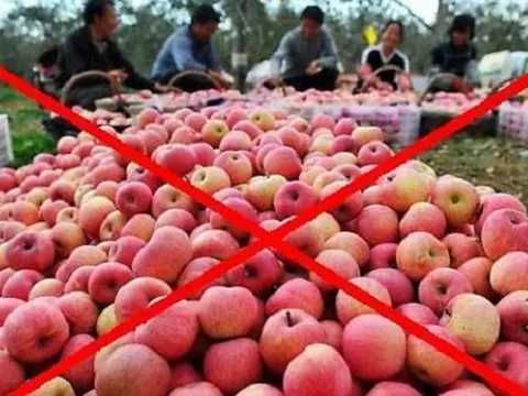 Những loại quả Việt Nam không phải nhập khẩu, sạch, tươi ngon