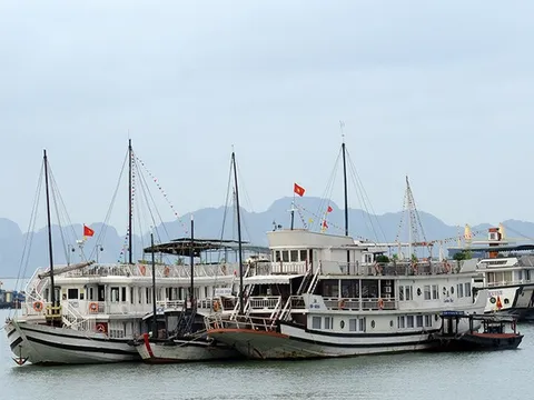 Quảng Ninh: Doanh nghiệp kinh doanh tàu du lịch than khó do dịch Covid-19