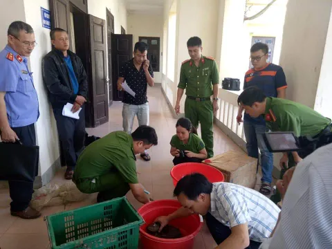 Nghệ An: Bắt giữ đối tượng vận chuyển số lượng lớn tê tê và rùa quý hiếm