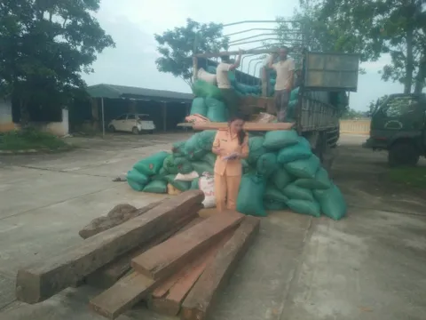 Thanh Hóa: Bắt xe tải chở gỗ lậu