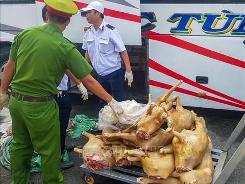 Thu giữ hàng tạ thịt dê không đảm bảo vệ sinh