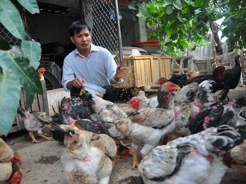 Thu nhập cao từ nuôi trồng "hàng độc": Sống khỏe với con đặc sản