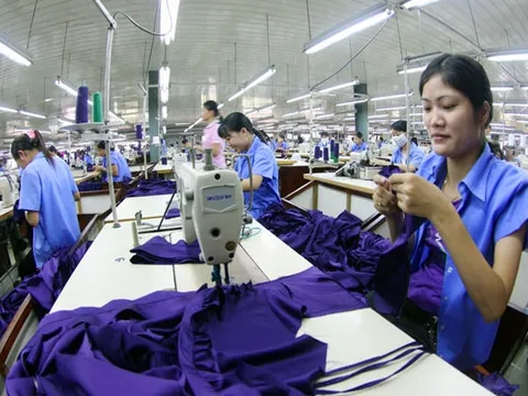 Thủ tướng yêu cầu Bộ Tài chính báo cáo việc "ưu đãi thuế dàn trải, thiếu minh bạch"