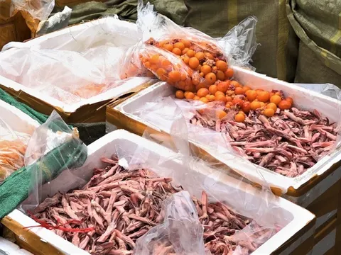 Chặn 2 container chứa gần 5 tấn thực phẩm thối đưa vào TP.HCM bán