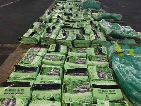 Từ vụ án 300kg ma túy đá tại TP. HCM, Philippines bắt 276kg ma túy được chuyển từ Việt Nam