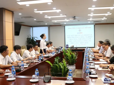 Cục Kỹ thuật an toàn và Môi trường công nghiệp làm việc với EVNNPC