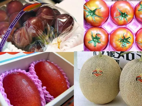 Trái cây đắt như vàng: Dân giàu ham lạ ăn sang ôm quả hớ nặng