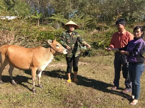 Trao 36 sổ nhân đạo cho người nghèo