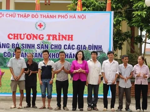 Trao bò sinh sản cho hộ nghèo