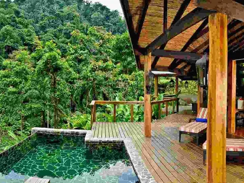 Triệu phú Mỹ chết thảm vì đi ăn ở nhà hàng trên cây