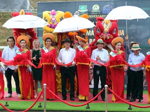 Đã có trường đua cho người mê đua ngựa đặt cược