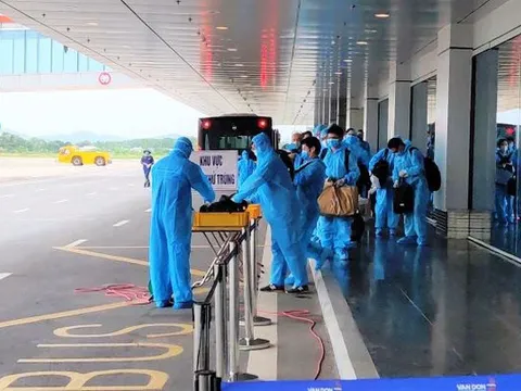 Gần 280 người Việt từ Nga và Belarus về nước an toàn