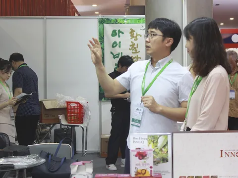 500 doanh nghiệp tham dự Hội chợ VIETNAM EXPO 2019