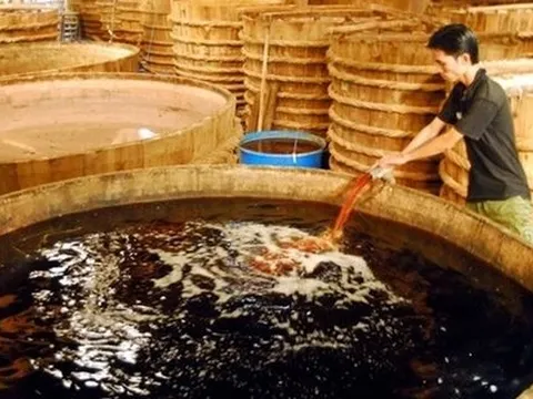 Vinastas cải chính thông tin về khảo sát nước mắm