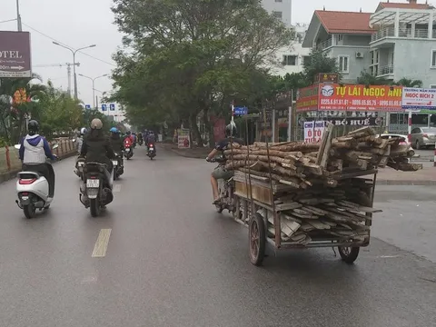 Cấm xe xích lô, xe đạp thồ, xe xúc vật kéo hoạt động trên đường phố