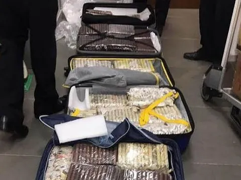 Tạm giữ hơn 3.000 điếu xì gà từ Cu Ba nhập về Đà Nẵng