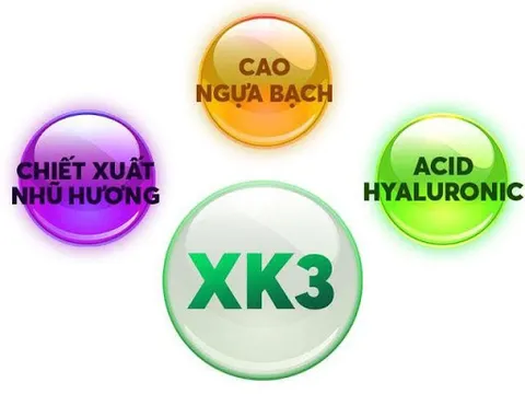 Hoạt chất XK3 - bí mật đằng sau công thức giúp giảm đau khớp chỉ từ 2 tuần