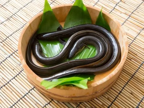 6 thực phẩm dễ ẩn chứa ký sinh trùng nhưng là món khoái khẩu của nhiều người