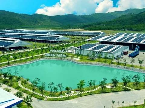 Mô hình phát triển bền vững “ Vinamilk Green Farm” được chia sẻ tại Hội nghị sữa toàn cầu