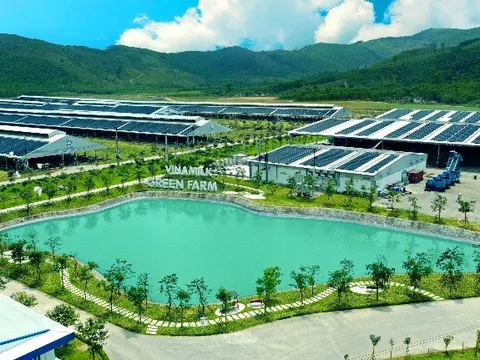 ESG – Xu hướng thế giới và sự “nhận diện” của nhà đầu tư Việt?