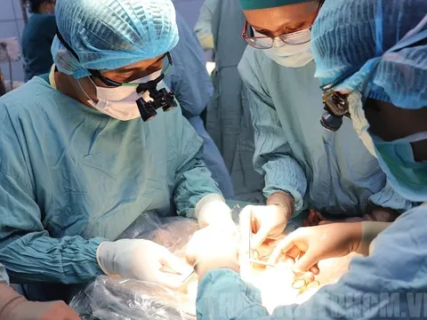 Cậu bé 15 tuổi hồi sinh nhờ ghép thận từ người hiến chết não