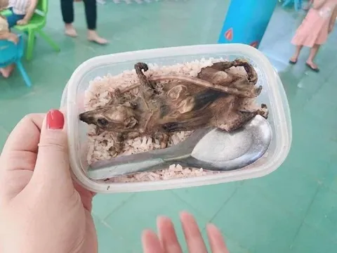 Thông tin chính thức vụ học sinh vùng cao ăn cơm với thịt chuột