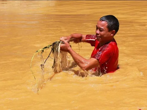Cảm phục hình ảnh bí thư xã ngụp lặn dưới dòng nước lũ khơi thông cống