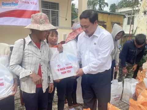 Quảng Ngãi: Trao tặng 140 suất quà cho người dân xã Trà Lâm