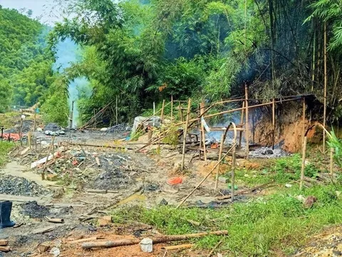 Đắk Nông yêu cầu đánh sập mỏ vàng trái phép trong rừng sâu