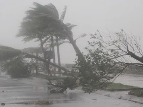 Sẵn sàng ứng phó với gió mạnh trên biển