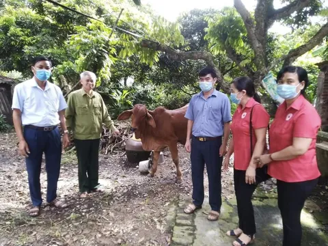 Ân Thi: Công tác vận động nguồn lực phục vụ các hoạt động nhân đạo