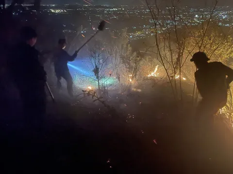 Quảng Ninh: Hơn 20 hecta rừng bị thiêu rụi ngay trong đêm