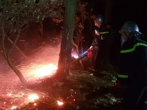 Hà Nội: Hơn 355 người xuyên đêm "cứu" rừng cháy lớn ở huyện Sóc Sơn