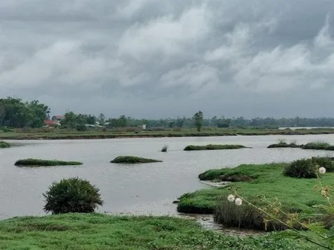 Cứu bạn bị ngã xuống sông, thiếu niên 16 tuổi bị nước cuốn trôi