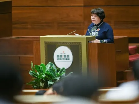 Cưỡng ép mang thai, phá thai, lựa chọn giới tính thai nhi là hành vi bạo lực gia đình