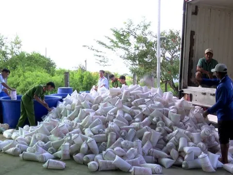 Bạc Liêu: Tiêu hủy hơn 2 triệu con tôm giống không qua kiểm dịch