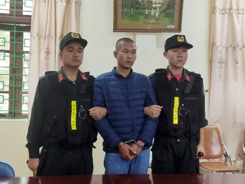 Bắt đối tượng huỷ hoại 16.000 m2 rừng để mở đường vào khai thác vàng trái phép