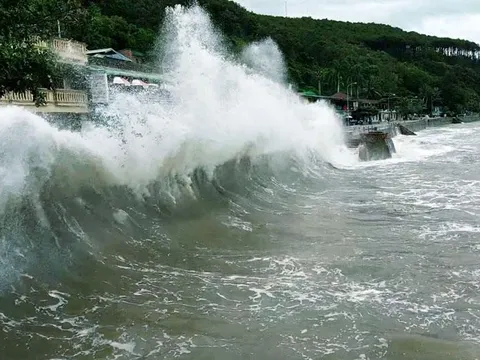 Các tỉnh, thành chủ động ứng phó với gió mạnh, vùng áp thấp và mưa lớn