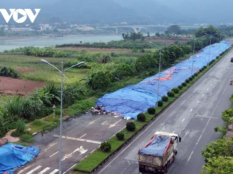 Bộ TN&MT yêu cầu làm rõ vụ đổ hàng nghìn tấn rác giữa rừng ở Hòa Bình