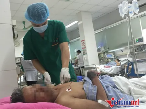 Hà Nội: Tham gia mổ lợn, người đàn ông nhiễm vi khuẩn rơi vào hôn mê, nguy kịch