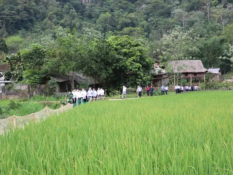 Thanh Hóa: Đến năm 2030 sẽ không còn huyện nghèo