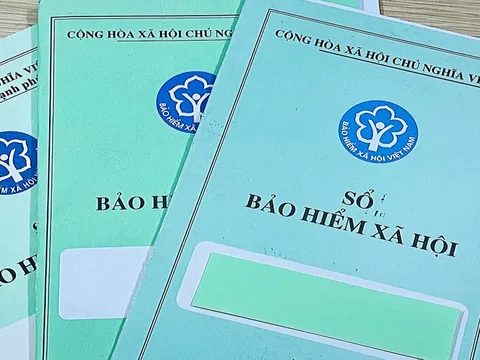 Ngành BHXH Việt Nam tăng cường triển khai hệ thống Cơ sở dữ liệu quốc gia về tiếp công dân, giải quyết khiếu nại, tố cáo
